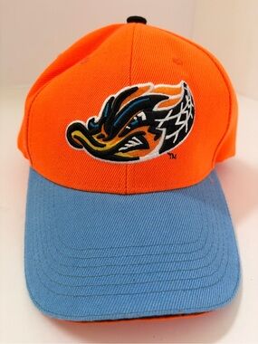 Rubberducks Hockey Akron, Ohio